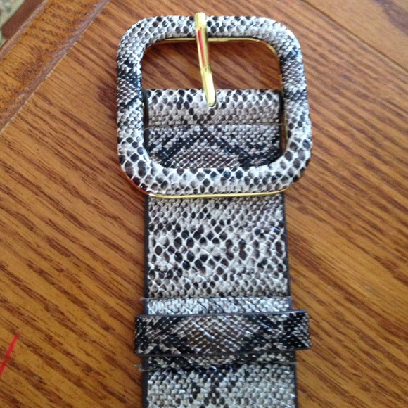 💕 Faux Rattlesnake Belt💕 - Picture 4 of 4